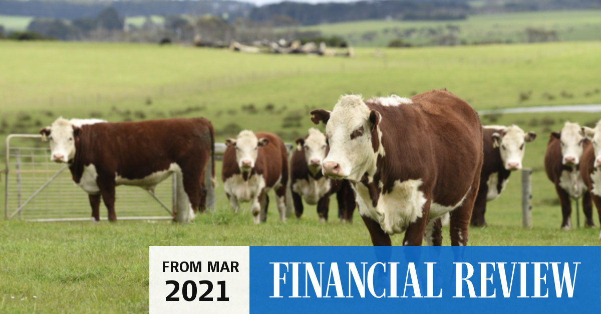 Bumper harvest, beef prices lift farmland returns